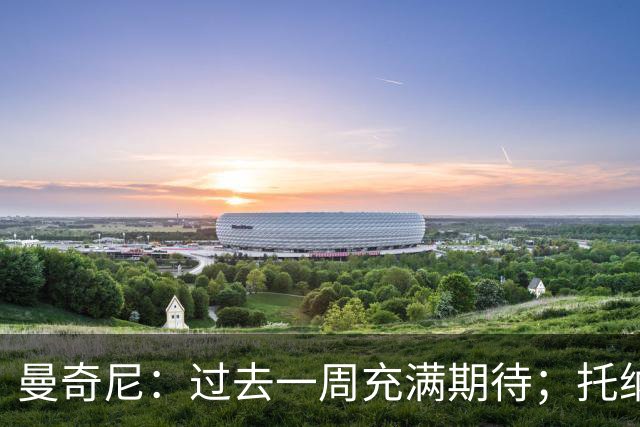 曼奇尼：过去一周充满期待；托纳利的伤情看起来不严重